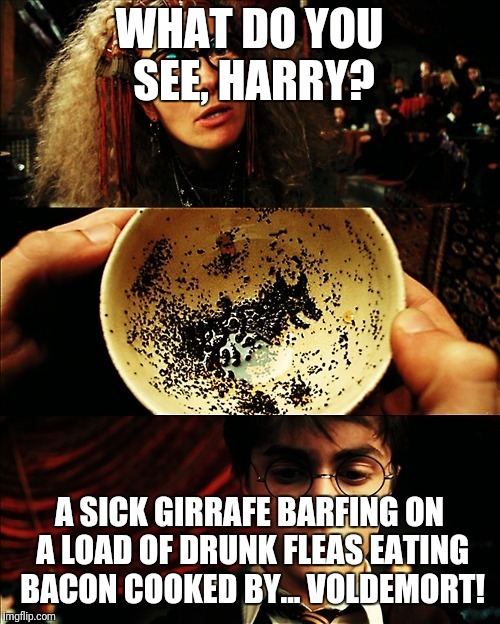 harry potter | WHAT DO YOU SEE, HARRY? A SICK GIRRAFE BARFING ON A LOAD OF DRUNK FLEAS EATING BACON COOKED BY... VOLDEMORT! | image tagged in harry potter | made w/ Imgflip meme maker