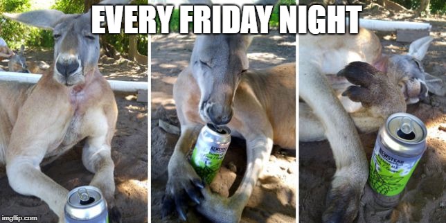 Every friday night | EVERY FRIDAY NIGHT | image tagged in funny,animals,memes,funny animals | made w/ Imgflip meme maker