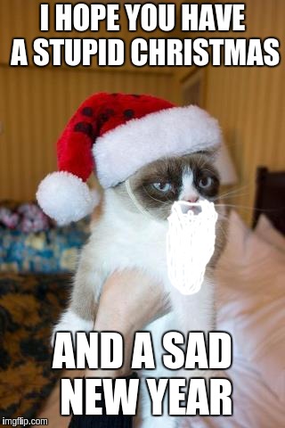 santa grumpy cat (with a beard) | I HOPE YOU HAVE A STUPID CHRISTMAS; AND A SAD NEW YEAR | image tagged in memes,grumpy cat christmas,grumpy cat | made w/ Imgflip meme maker