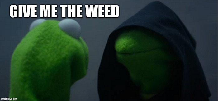 Evil Kermit Meme | GIVE ME THE WEED | image tagged in memes,evil kermit | made w/ Imgflip meme maker