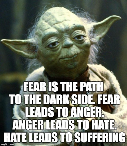 Star Wars Yoda | FEAR IS THE PATH TO THE DARK SIDE. FEAR LEADS TO ANGER. ANGER LEADS TO HATE. HATE LEADS TO SUFFERING | image tagged in memes,star wars yoda | made w/ Imgflip meme maker