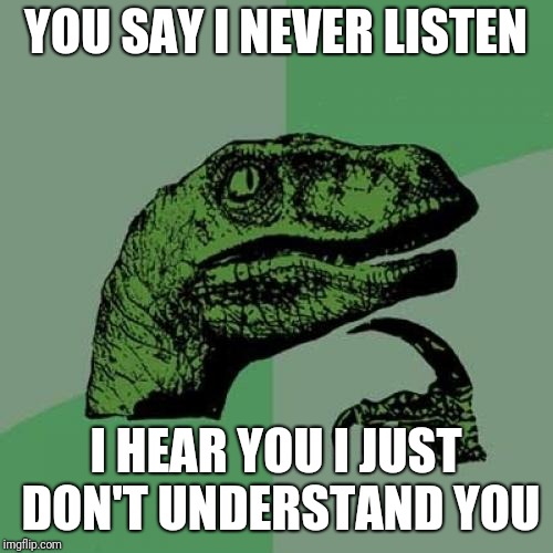 Wyd did you say bro  | YOU SAY I NEVER LISTEN; I HEAR YOU I JUST DON'T UNDERSTAND YOU | image tagged in memes,philosoraptor,wtf,funny memes | made w/ Imgflip meme maker