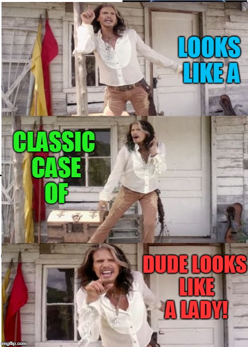 LOOKS LIKE A CLASSIC CASE OF DUDE LOOKS LIKE A LADY! | made w/ Imgflip meme maker