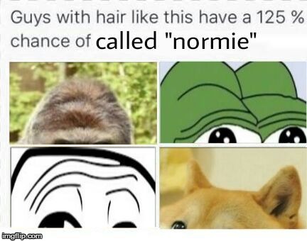 normies | image tagged in retards | made w/ Imgflip meme maker