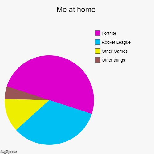 Me at home | Other things, Other Games, Rocket League, Fortnite | image tagged in funny,pie charts | made w/ Imgflip chart maker