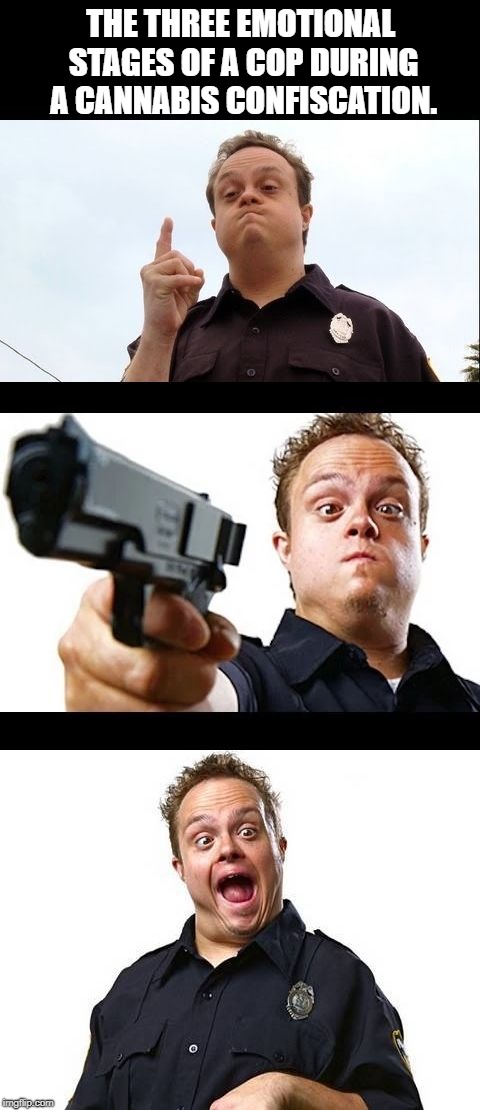 FREEZE! | THE THREE EMOTIONAL STAGES OF A COP DURING A CANNABIS CONFISCATION. | image tagged in copssssssss | made w/ Imgflip meme maker