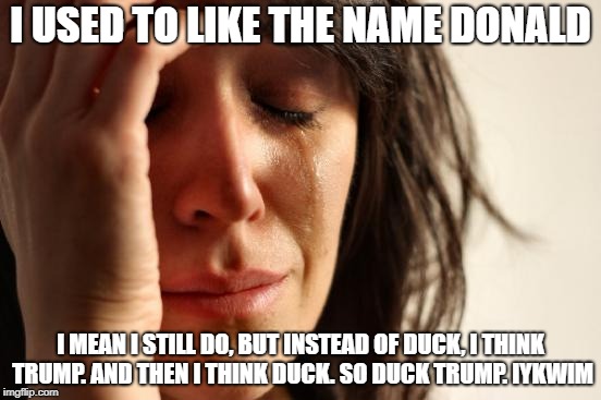 WILL THE REAL DONALD PLEASE STAND UP | I USED TO LIKE THE NAME DONALD; I MEAN I STILL DO, BUT INSTEAD OF DUCK, I THINK TRUMP. AND THEN I THINK DUCK. SO DUCK TRUMP. IYKWIM | image tagged in memes,first world problems | made w/ Imgflip meme maker