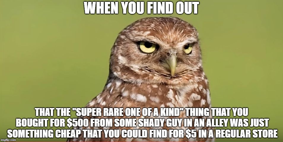 Death Stare Owl | WHEN YOU FIND OUT; THAT THE "SUPER RARE ONE OF A KIND" THING THAT YOU BOUGHT FOR $500 FROM SOME SHADY GUY IN AN ALLEY WAS JUST SOMETHING CHEAP THAT YOU COULD FIND FOR $5 IN A REGULAR STORE | image tagged in death stare owl,memes,doctordoomsday180,ripoff,funny,meme | made w/ Imgflip meme maker