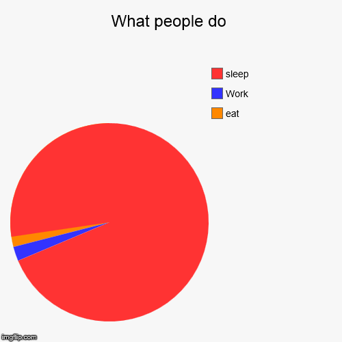 What people do | eat, Work, sleep | image tagged in funny,pie charts | made w/ Imgflip chart maker