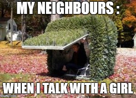 hiding in a bush | MY NEIGHBOURS :; WHEN I TALK WITH A GIRL | image tagged in hiding in a bush | made w/ Imgflip meme maker