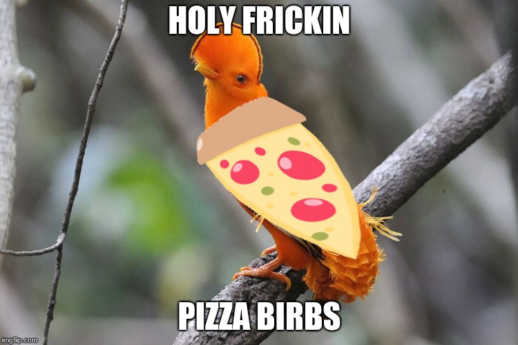 Just bored with nothing to do... | HOLY FRICKIN; PIZZA BIRBS | image tagged in pizza bird | made w/ Imgflip meme maker