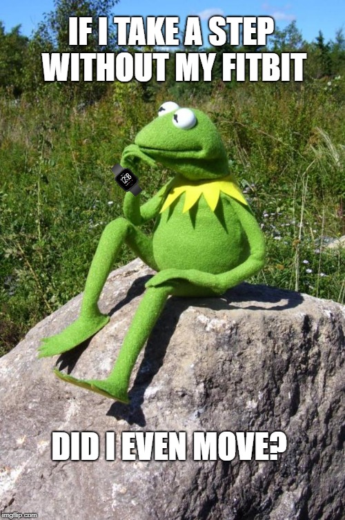 Kermit-thinking | IF I TAKE A STEP WITHOUT MY FITBIT; DID I EVEN MOVE? | image tagged in kermit-thinking | made w/ Imgflip meme maker