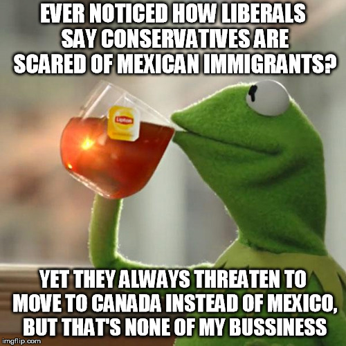 But That's None Of My Business Meme | EVER NOTICED HOW LIBERALS SAY CONSERVATIVES ARE SCARED OF MEXICAN IMMIGRANTS? YET THEY ALWAYS THREATEN TO MOVE TO CANADA INSTEAD OF MEXICO, BUT THAT'S NONE OF MY BUSSINESS | image tagged in memes,but thats none of my business,kermit the frog,trump,liberals,politics | made w/ Imgflip meme maker