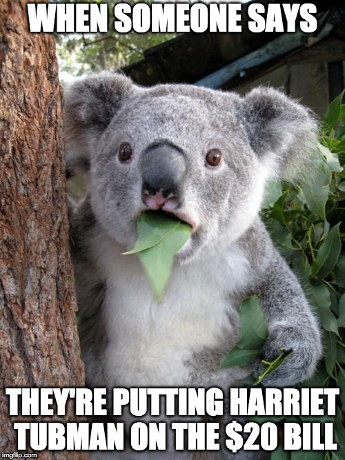 I'm waiting to see one soon in real life... | WHEN SOMEONE SAYS; THEY'RE PUTTING HARRIET TUBMAN ON THE $20 BILL | image tagged in memes,surprised koala,harriet tubman,20 bill | made w/ Imgflip meme maker