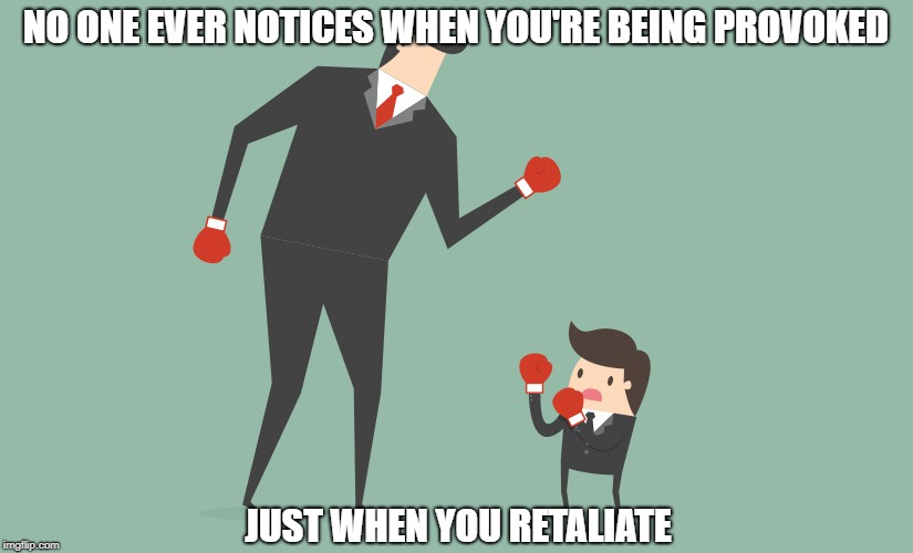 NO ONE EVER NOTICES WHEN YOU'RE BEING PROVOKED; JUST WHEN YOU RETALIATE | image tagged in retaliation | made w/ Imgflip meme maker