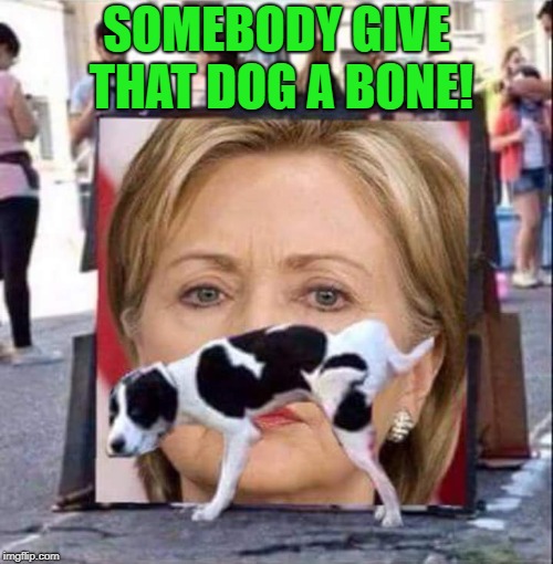 Even The Animal Kingdom Rejects Her | SOMEBODY GIVE THAT DOG A BONE! | image tagged in dog peeing on hillary clinton,memes | made w/ Imgflip meme maker