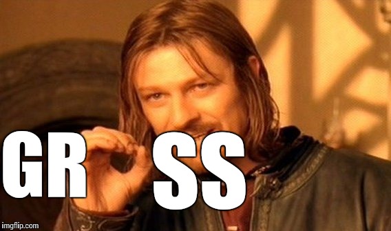 One Does Not Simply Meme | GR SS | image tagged in memes,one does not simply | made w/ Imgflip meme maker
