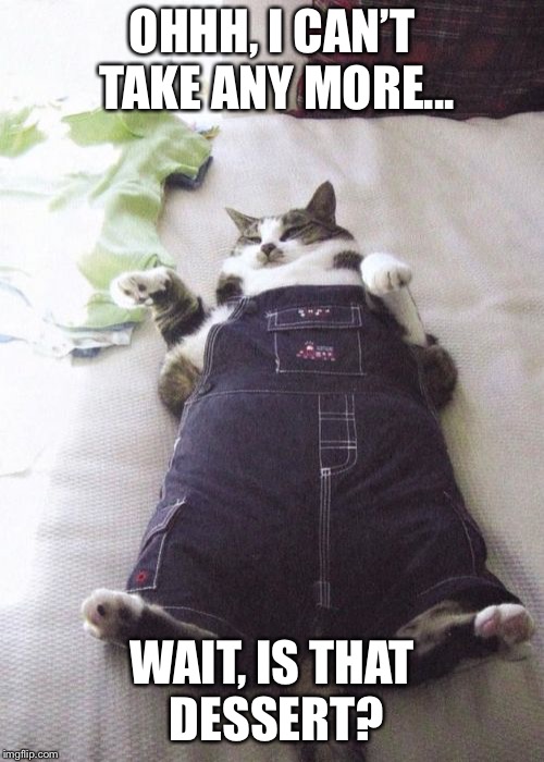 Fat Cat Meme | OHHH, I CAN’T TAKE ANY MORE... WAIT, IS THAT DESSERT? | image tagged in memes,fat cat | made w/ Imgflip meme maker