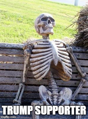 Waiting Skeleton Meme | TRUMP SUPPORTER | image tagged in memes,waiting skeleton | made w/ Imgflip meme maker