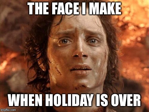 It's Finally Over | THE FACE I MAKE; WHEN HOLIDAY IS OVER | image tagged in memes,its finally over | made w/ Imgflip meme maker
