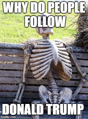 Waiting Skeleton | WHY DO PEOPLE FOLLOW; DONALD TRUMP | image tagged in memes,waiting skeleton | made w/ Imgflip meme maker