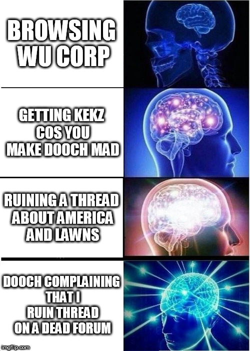 Expanding Brain Meme | BROWSING WU CORP; GETTING KEKZ COS YOU MAKE DOOCH MAD; RUINING A THREAD ABOUT AMERICA AND LAWNS; DOOCH COMPLAINING THAT I RUIN THREAD ON A DEAD FORUM | image tagged in memes,expanding brain | made w/ Imgflip meme maker