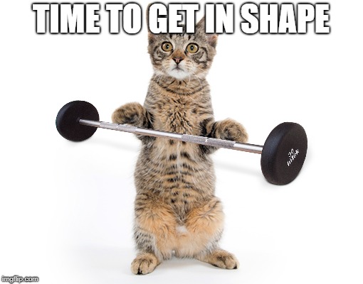TIME TO GET IN SHAPE | made w/ Imgflip meme maker
