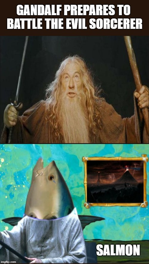 Lord of the Bottom | GANDALF PREPARES TO BATTLE THE EVIL SORCERER; SALMON | image tagged in salmon solomon sarbon surmon surename | made w/ Imgflip meme maker