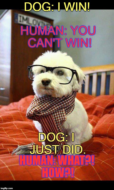 Intelligent Dog Meme | HUMAN: YOU CAN'T WIN! DOG: I WIN! DOG: I JUST DID. HUMAN: WHAT?! HOW?! | image tagged in memes,intelligent dog | made w/ Imgflip meme maker
