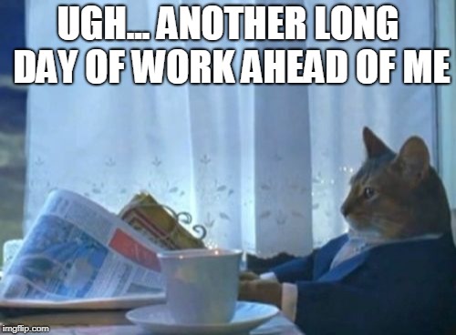 I Should Buy A Boat Cat Meme | UGH... ANOTHER LONG DAY OF WORK AHEAD OF ME | image tagged in memes,i should buy a boat cat | made w/ Imgflip meme maker