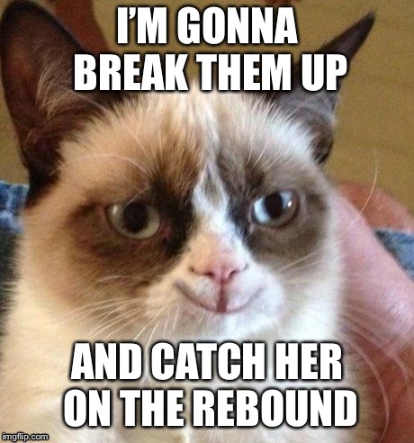 grumpy smile | I’M GONNA BREAK THEM UP AND CATCH HER ON THE REBOUND | image tagged in grumpy smile | made w/ Imgflip meme maker