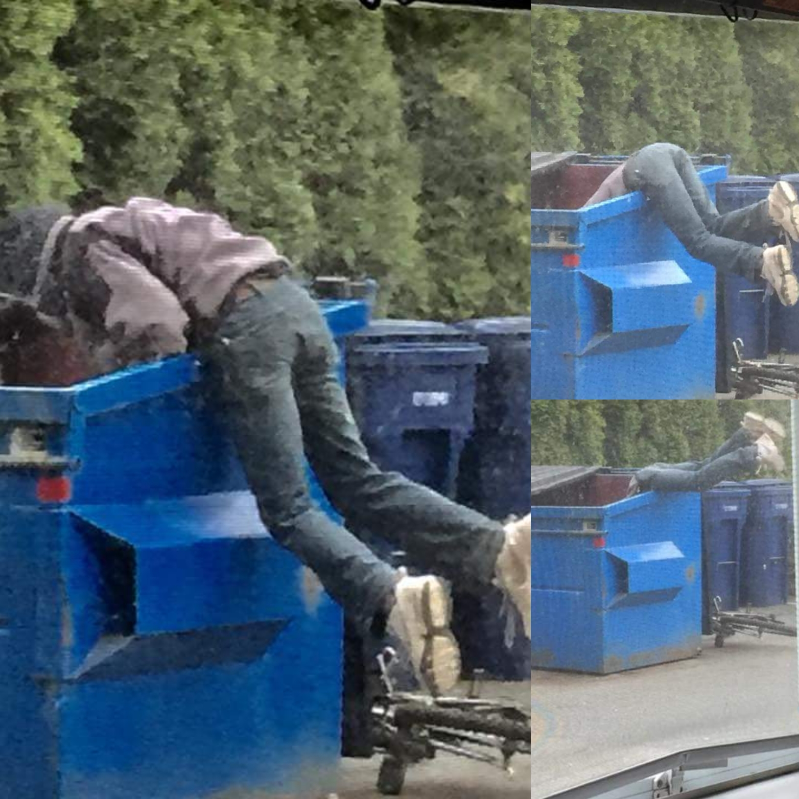 Dumpster diving Blank Meme Template