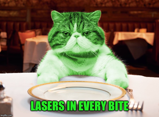 RayCat Hungry | LASERS IN EVERY BITE | image tagged in raycat hungry | made w/ Imgflip meme maker