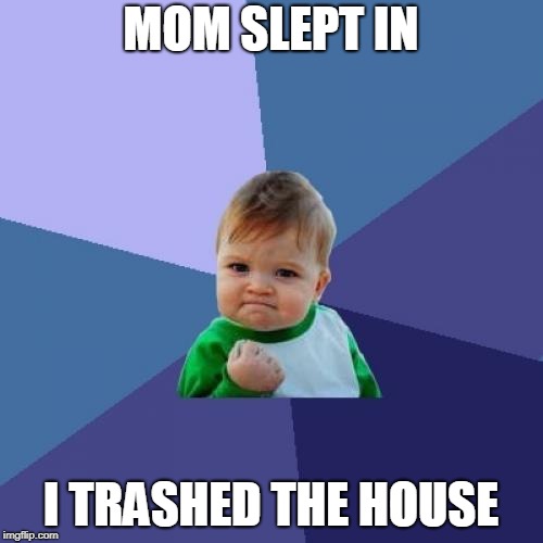 Success Kid Meme | MOM SLEPT IN I TRASHED THE HOUSE | image tagged in memes,success kid | made w/ Imgflip meme maker