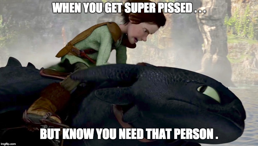 WHEN YOU GET SUPER PISSED . . . BUT KNOW YOU NEED THAT PERSON . | image tagged in how to train your dragon,toothless,hiccup | made w/ Imgflip meme maker