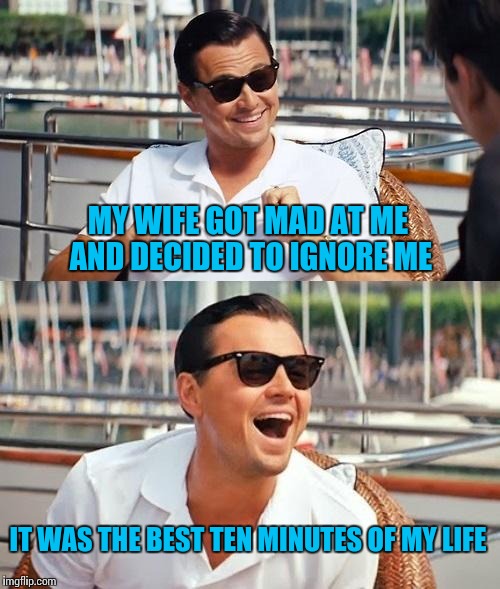 Leonardo Dicaprio Wolf Of Wall Street Meme | MY WIFE GOT MAD AT ME AND DECIDED TO IGNORE ME; IT WAS THE BEST TEN MINUTES OF MY LIFE | image tagged in memes,leonardo dicaprio wolf of wall street | made w/ Imgflip meme maker