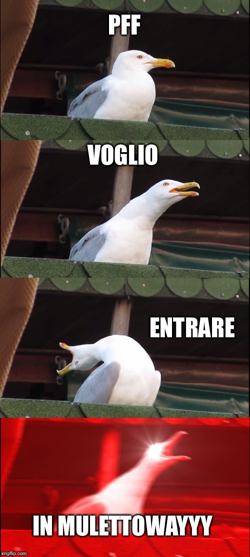 Inhaling Seagull Meme | PFF; VOGLIO; ENTRARE; IN MULETTOWAYYY | image tagged in memes,inhaling seagull | made w/ Imgflip meme maker