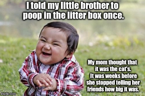 Evil Toddler Meme | I told my little brother to poop in the litter box once. My mom thought that it was the cat's.  It was weeks before she stopped telling her  | image tagged in memes,evil toddler | made w/ Imgflip meme maker