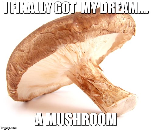 WHO WANTS IT | I FINALLY GOT  MY DREAM.... A MUSHROOM | image tagged in its,a,present,for,you | made w/ Imgflip meme maker