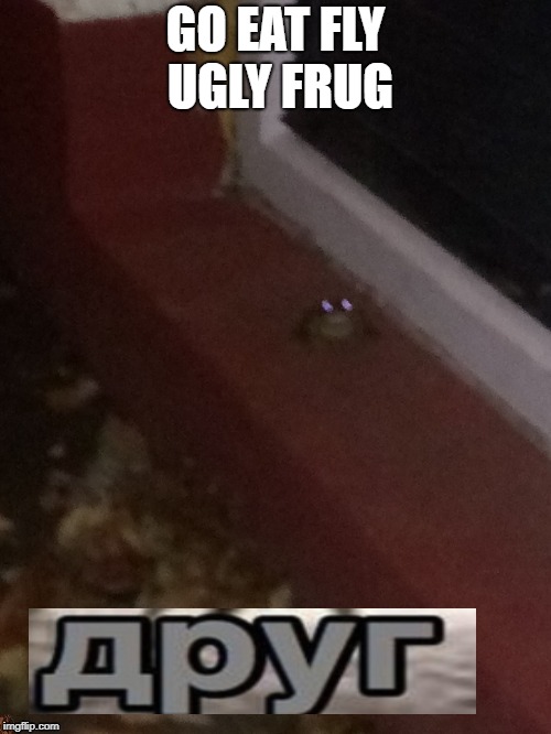 Apyr Frog | GO EAT FLY UGLY FRUG | image tagged in apyr frog | made w/ Imgflip meme maker