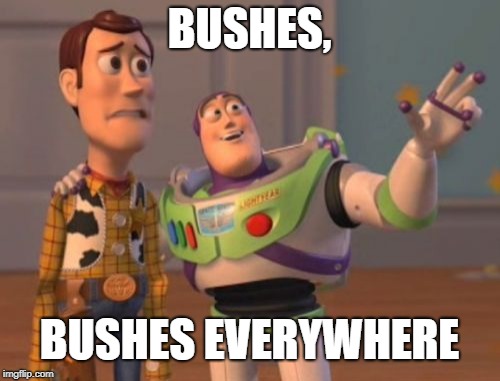 when i found some bushy bois | BUSHES, BUSHES EVERYWHERE | image tagged in x x everywhere,fortnite meme | made w/ Imgflip meme maker