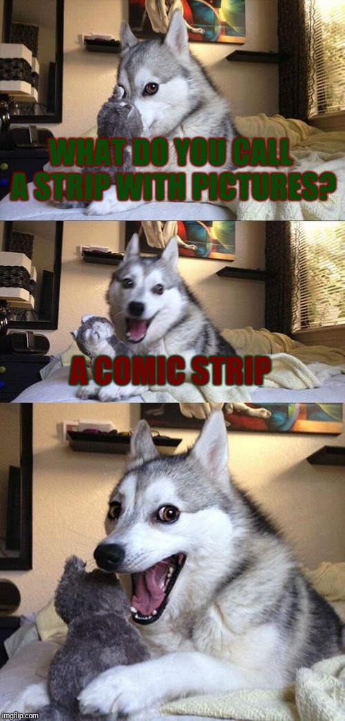 I barely noticed until now! | WHAT DO YOU CALL A STRIP WITH PICTURES? A COMIC STRIP | image tagged in memes,bad pun dog,strip,comic,comic strip,shn | made w/ Imgflip meme maker