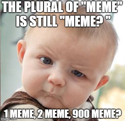 THE PLURAL OF "MEME" IS STILL "MEME?
" 1 MEME, 2 MEME, 900 MEME? | made w/ Imgflip meme maker