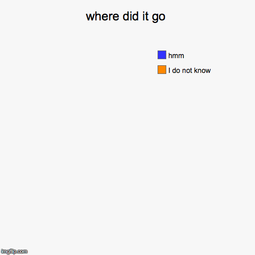 where did it go | I do not know, hmm | image tagged in funny,pie charts | made w/ Imgflip chart maker