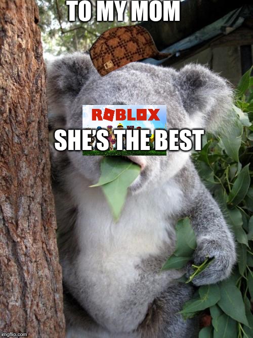 Surprised Koala Meme | TO MY MOM; SHE’S THE BEST | image tagged in memes,surprised koala,scumbag | made w/ Imgflip meme maker