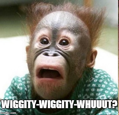 WIGGITY-WIGGITY-WHUUUT? | made w/ Imgflip meme maker