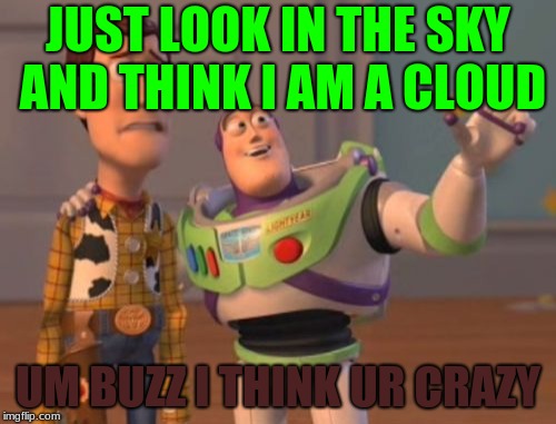 X, X Everywhere | JUST LOOK IN THE SKY AND THINK I AM A CLOUD; UM BUZZ I THINK UR CRAZY | image tagged in memes,x x everywhere | made w/ Imgflip meme maker