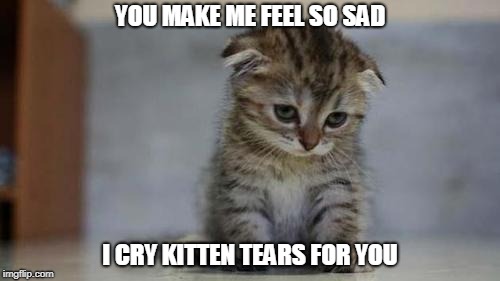 Sad kitten | YOU MAKE ME FEEL SO SAD; I CRY KITTEN TEARS FOR YOU | image tagged in sad kitten | made w/ Imgflip meme maker