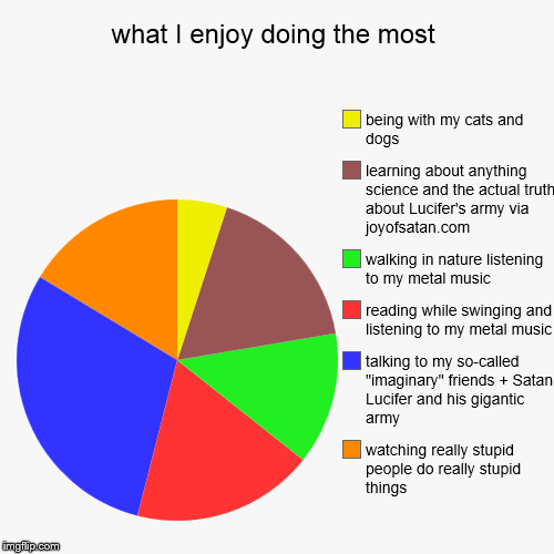 What do you enjoy doing the most? | what I enjoy doing the most | watching really stupid people do really stupid things, talking to my so-called "imaginary" friends + Satan Luc | image tagged in funny,pie charts | made w/ Imgflip chart maker