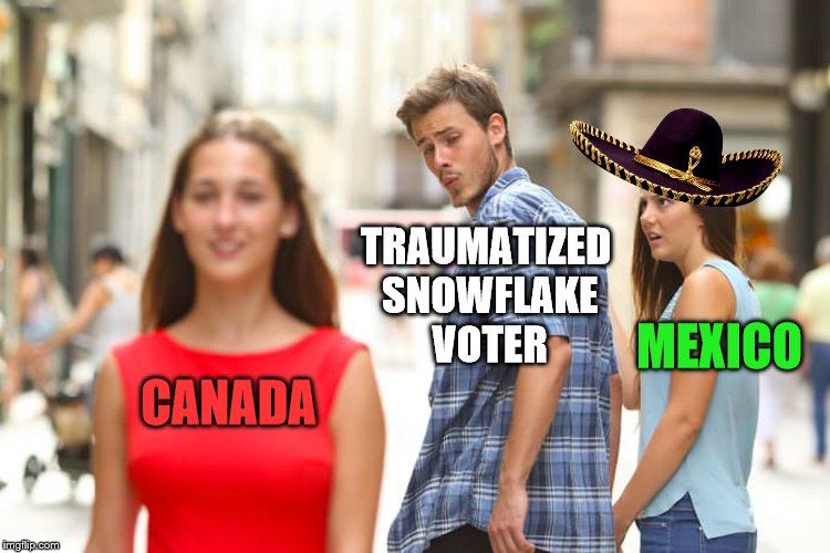 Distracted Boyfriend Meme | CANADA TRAUMATIZED SNOWFLAKE VOTER MEXICO | image tagged in memes,distracted boyfriend | made w/ Imgflip meme maker